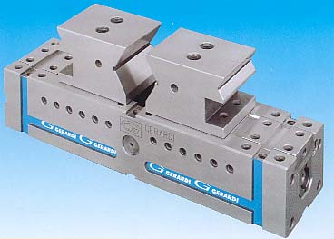 FMS  FLEXIBLES MODULAR SYSTEM